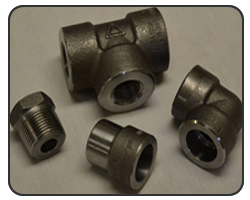 Carbon & Alloy Steel Forged fitting